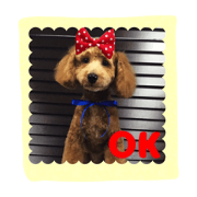 stamp style fusuke of toy-poo