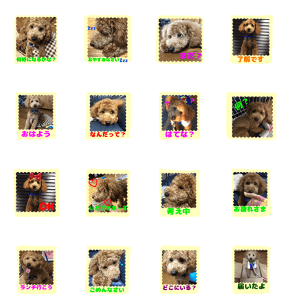 stamp style fusuke of toy-poo