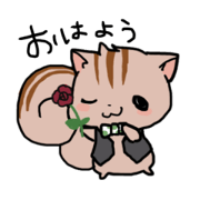 Fashionable pet