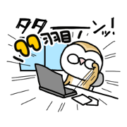 Mamefuku of barn owl11
