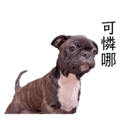 熊熊的無憂無慮日常☆第二彈★