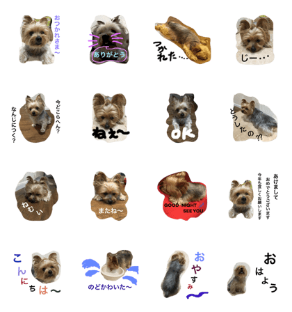 prttey dog