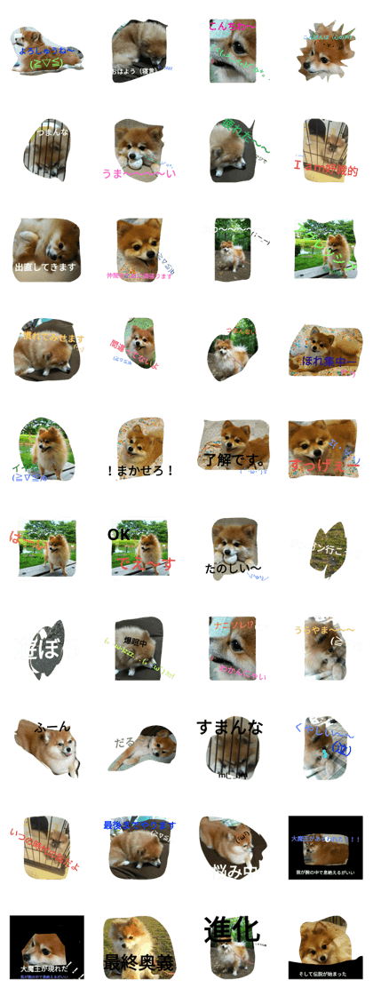 wakuwaku(1)