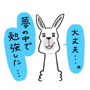 llama and alpaca3