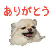 akuchanlove vol.1