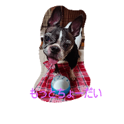 prettydog HANA