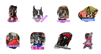 prettydog HANA
