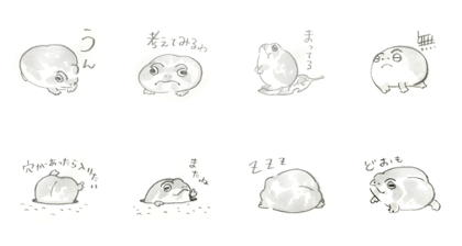 Common rain frog laid back