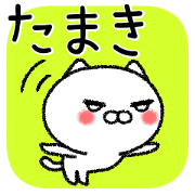 Tamakichan neko sticker