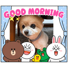 ponzu_20210730134129