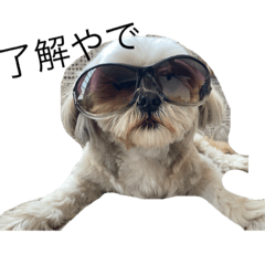 miyuu_20210730151919