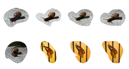 Slow Snail