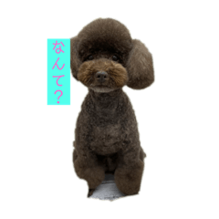 HimAWArI_20210731174015