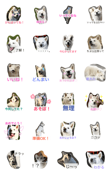 akitainugin part2