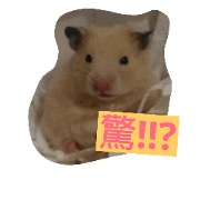 cute mouse by Peipei