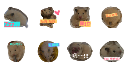 cute mouse by Peipei