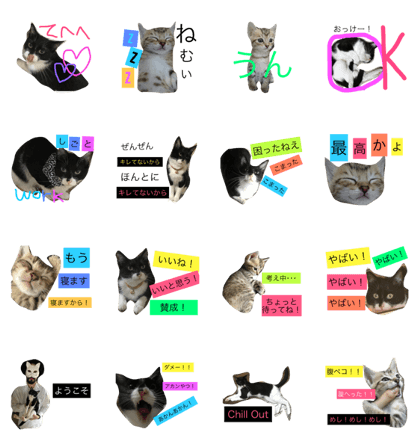 Kamome&Kinako