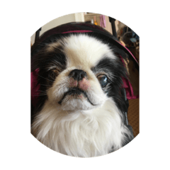 sayuri_20210728190041