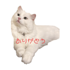 natsumi_20210806124056