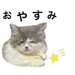 mizuki_20210729161119