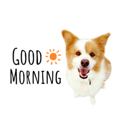 Seira_20210806194101