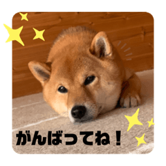 yukari_20210806191821