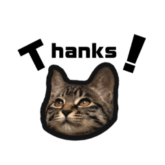 Asuka_20210806192125