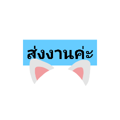 pitcha_20210805140000