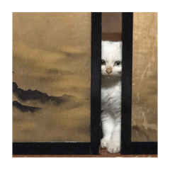 chihiro_20210731221245
