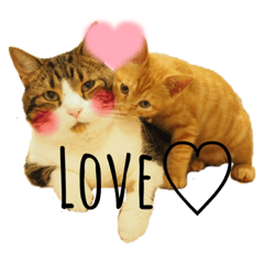 yuzutora_20210806203418