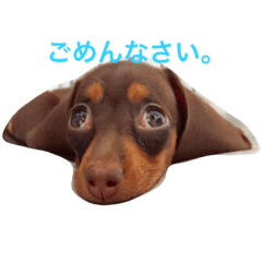 BABY MOCO