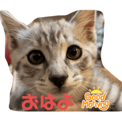 MIKI_20210806221341