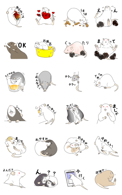 I like rats too much Sticker