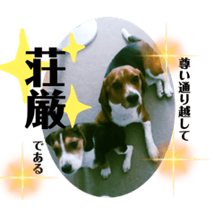 Mornin_20210806222005