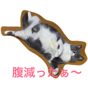 mis koharun