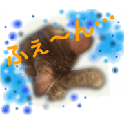 nekochin's4