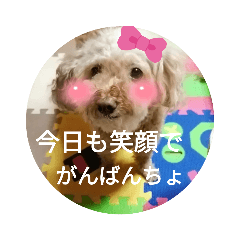 miyoko_20210806233947