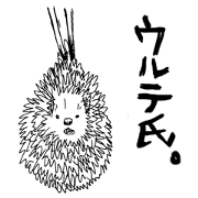 hedgehog URUTE