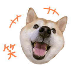 arisa_20210806180045