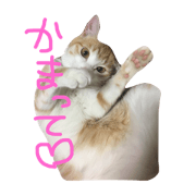 ajitoissyo