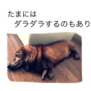 dachshund Danny.