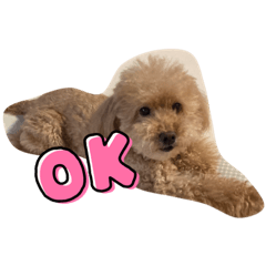 seira_20210806194329