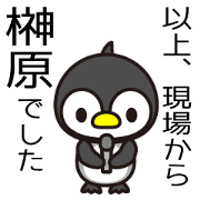 Sakakibara Sticker
