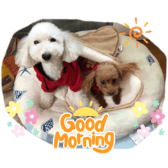 Annachi_20210806194253