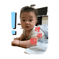 哈迪的吚吚哦哦