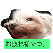 kawaiiwagaco