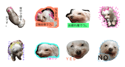 kawaiiwagaco