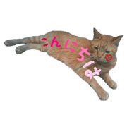 Realistic cat Stamp