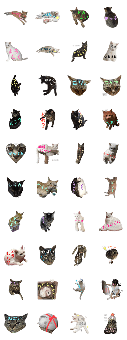 Realistic cat Stamp