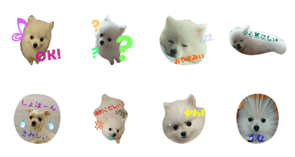 siichan's stamp